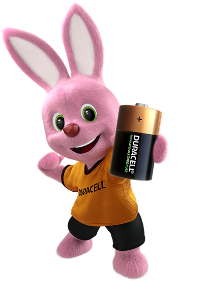 Bunny introduceert Duracell oplaadbare D-formaat batterij 3000 mAh